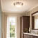 Lucerne 3-Light Ceiling Light in Polished Nickel (128|6-3350-16-109)