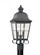 Chatham traditional 2-light outdoor exterior post lantern in oxidized bronze finish with clear seede (38|8262-46)