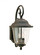 Trafalgar traditional 2-light outdoor exterior large wall lantern sconce in oxidized bronze finish w (38|8460-46)