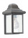 Mullberry Hill traditional 1-light outdoor exterior wall lantern sconce in bronze finish with clear (38|8588-10)