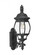 Wynfield traditional 2-light outdoor exterior wall lantern sconce in black finish with clear beveled (38|88201-12)