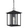 Hunnington contemporary 1-light outdoor exterior pendant in black finish with clear seeded glass pan (38|62027-12)