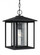Hunnington contemporary 1-light outdoor exterior pendant in black finish with clear seeded glass pan (38|62027-12)