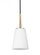 Driscoll contemporary 1-light indoor dimmable ceiling hanging single pendant light in satin brass go (38|6140401-848)
