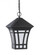 Herrington transitional 1-light outdoor exterior hanging ceiling pendant in black finish with etched (38|69131-12)