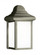 Mullberry Hill traditional 1-light outdoor exterior wall lantern sconce in pewter finish with smooth (38|8788-155)