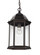 Sevier traditional 1-light outdoor exterior ceiling hanging pendant in antique bronze finish with cl (38|6238701-71)
