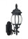 Wynfield traditional 1-light outdoor exterior medium wall lantern sconce in black finish with froste (38|89102-12)