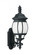 Wynfield traditional 1-light outdoor exterior large wall lantern sconce in black finish with frosted (38|89103-12)