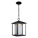 Hunnington contemporary 1-light outdoor exterior led outdoor pendant in black finish with etched see (38|6902997S-12)