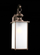 Jamestowne transitional 1-light extra large outdoor exterior wall lantern in antique bronze finish w (38|84670-71)