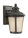 Cape May traditional 1-light LED outdoor exterior small wall lantern sconce in burled iron grey fini (38|88240EN3-780)