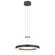 16'' LED Ring Pendant (107|2313.25)