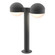 16'' LED Double Bollard (107|7306.DC.DL.74-WL)
