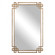 Uttermost Devoll Antique Gold Mirror (85|12930)