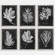 Uttermost Foliage Framed Prints Set/6 (85|33671)