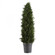 Uttermost Cypress Cone Topiary (85|60139)