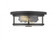 2 Light Flush Mount (276|462F11-BRZ)