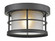 1 Light Outdoor Flush Mount (276|556F-BK)