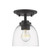 1 Light Flush Mount (276|460F1-BRZ)