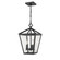 Arnold 4-Light Outdoor Hanging Lantern Powder Coated Black (670|2534-PBK)