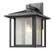 1 Light Outdoor Wall Light (276|554B-BK)