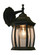 1 Light Outdoor Wall Light (276|T20-BK)