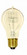 25 Watt A19 Incandescent; Clear; 3000 Average rated hours; 100 Lumens; Medium base; 120 Volt (27|S2411)