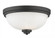 2 Light Flush Mount (276|443F2-BRZ)