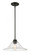 1 Light Pendant (276|428MP14-OB)
