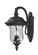 2 Light Outdoor Wall Light (276|534M-BK)