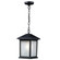 1 Light Outdoor Chain Mount Ceiling Fixture (276|507CHM-BK)