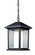 1 Light Outdoor Chain Mount Ceiling Fixture (276|523CHM)
