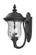 2 Light Outdoor Wall Light (276|533M-BK)