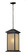 1 Light Outdoor Chain Mount Ceiling Fixture (276|548CHB-ORB)