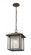1 Light Outdoor Chain Mount Ceiling Fixture (276|554CHB-ORB)