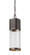1 Light Outdoor Chain Mount Ceiling Fixture (276|562CHB-DBZ-LED)