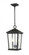2 Light Outdoor Chain Mount Ceiling Fixture (276|568CHB-BK)
