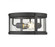 3 Light Outdoor Flush Mount (276|569F-BK)