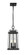 2 Light Outdoor Chain Mount Ceiling Fixture (276|574CHM-BK)
