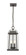 2 Light Outdoor Chain Mount Ceiling Fixture (276|574CHM-ORB)
