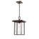 Outdoor Hanging Lantern (670|2625-PBZ)
