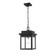 Belle Chasse 1-Light Outdoor Hanging Lantern Powder Coated Black (670|2665-PBK)