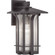 P560125-020 1-100W MED WALL LANTERN (149|P560125-020)