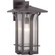 Cullman Collection One-Light Large Wall Lantern (149|P560126-020)