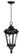 Sentry-Outdoor Hanging Lantern (19|3058WGBK)