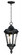 Sentry-Outdoor Hanging Lantern (19|3058WGBK)