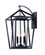 Artisan-Outdoor Wall Mount (19|3176CLBK)