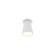 LED EXT CEILING (HARTFORD), WH, 19W (461|EC16605-WH)