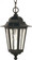 Cornerstone - 1 Light - 13'' - Hanging Lantern - with Clear Seed Glass; Color retail packaging (81|60/3476)